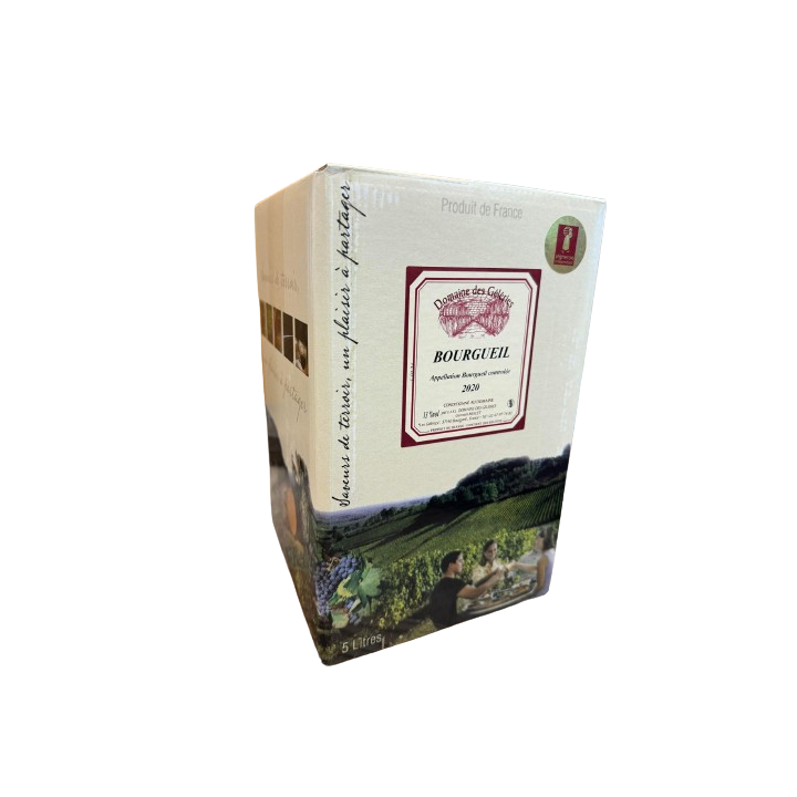 Bourgueil 5L Domaine Géleries