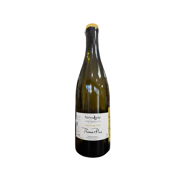 Chablis 2022 Vent d'Ange Thomas Pico