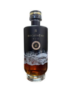 Bocatheva Master...
