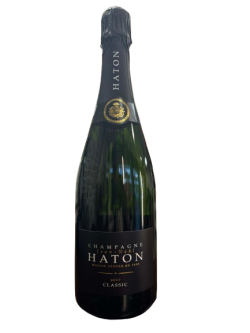 Champagne Haton...