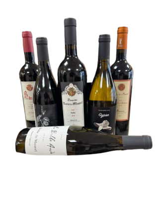 Pack Découverte Domaine Borie de Maurel ( 6 bouteilles )